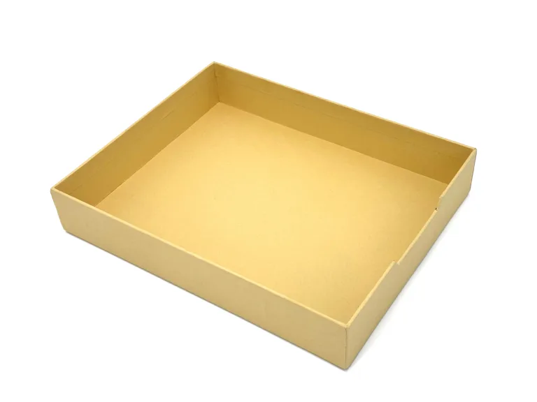 SYG25120 Document Tray 2