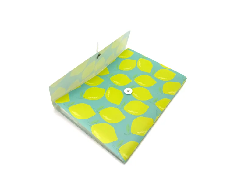 SYG25195 Document Bag 2